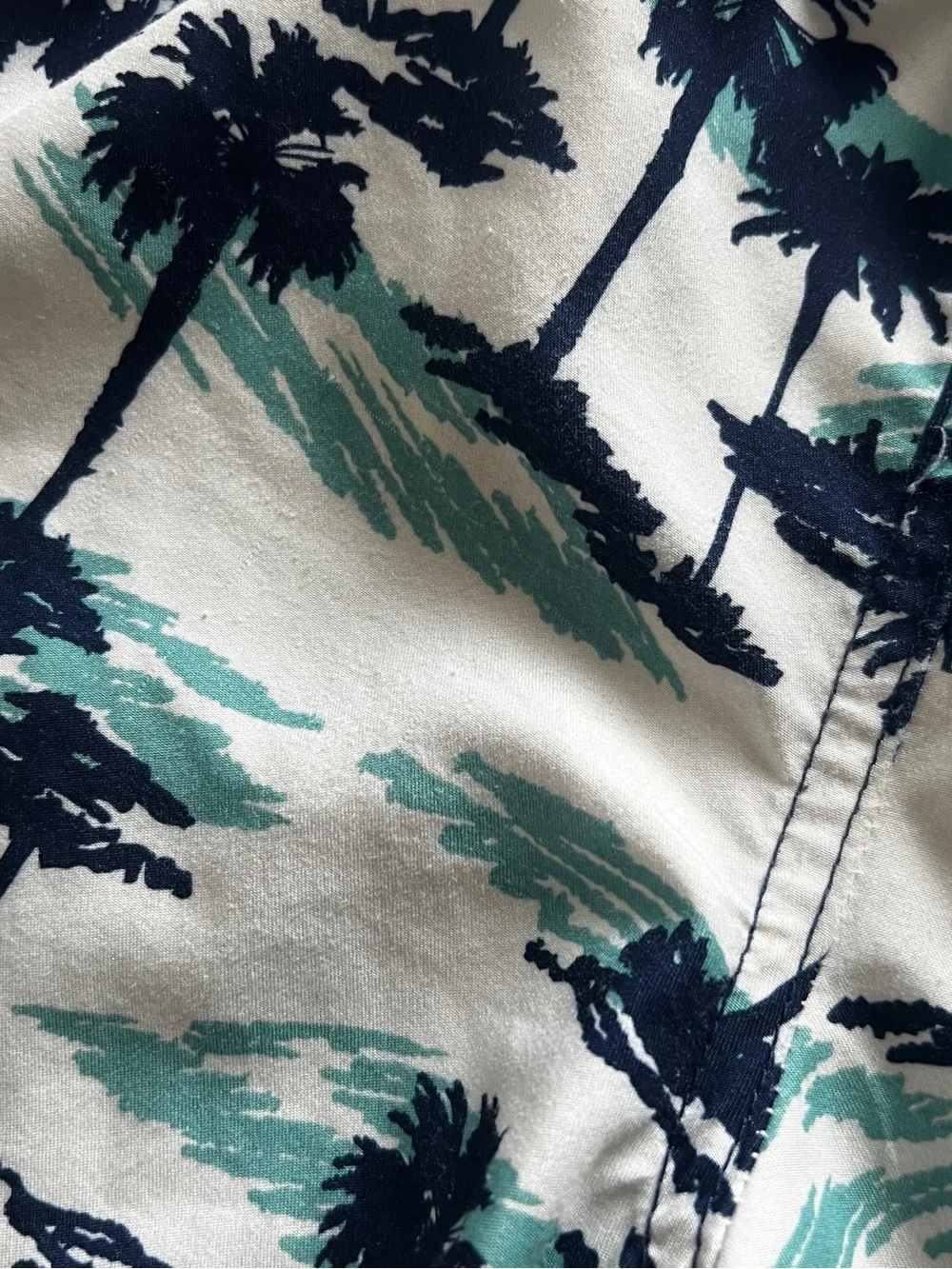 Cat & Jack Swim Trunks